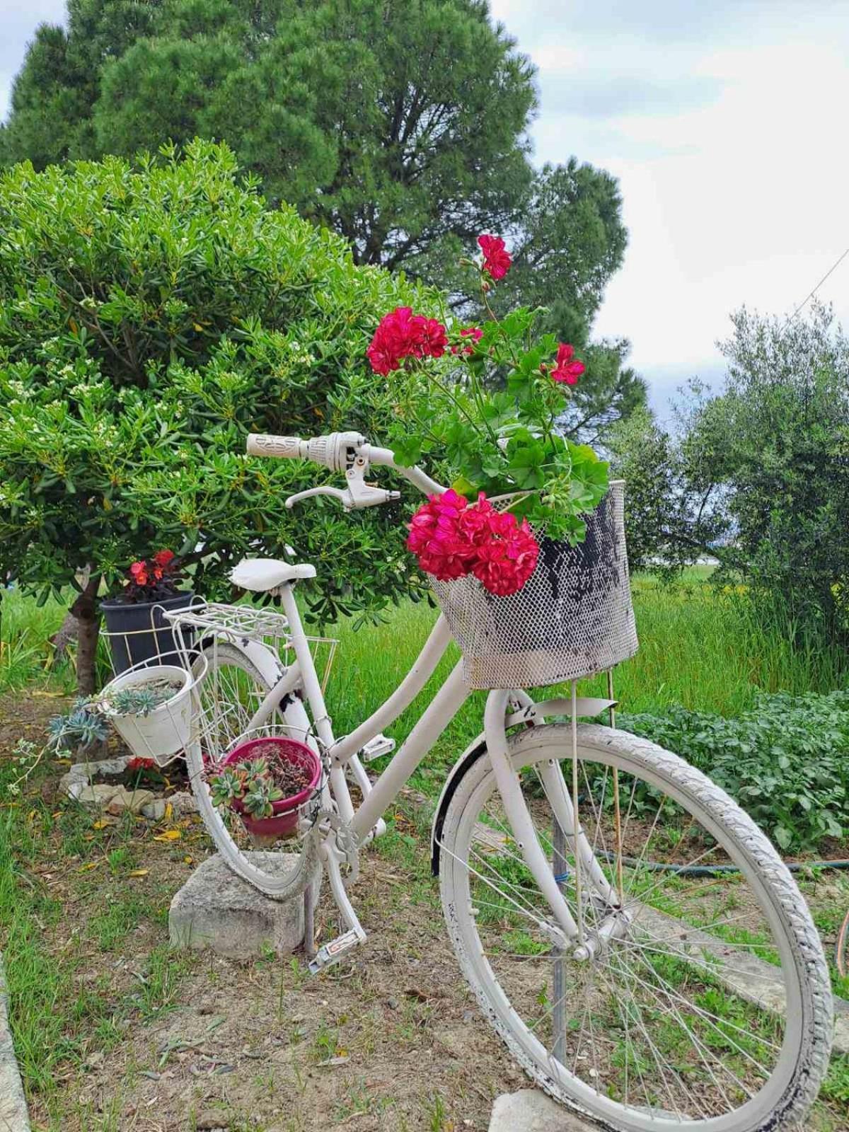 Corfu Lakeside Cottage Kanoni  Dış mekan fotoğraf